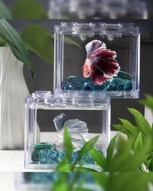 SMALL FISH TANK V1 photo 4
