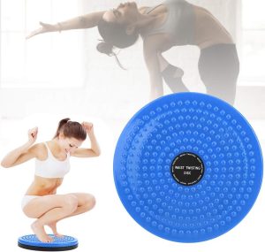 WAIST TWISTING DISC photo 4