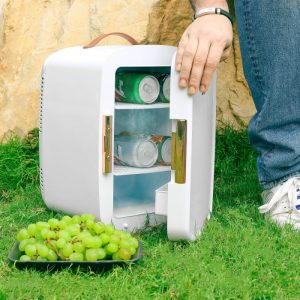 MINI SINGLE DOOR CAR COOLER photo 3