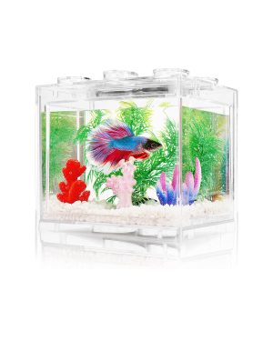 SMALL FISH TANK V1 photo 3