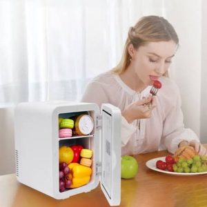 MINI SINGLE DOOR CAR COOLER photo 4