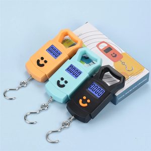 PORTABLE ELECTRONIC SMILE SCALE Z370 photo 2