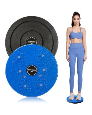 WAIST TWISTING DISC photo 2