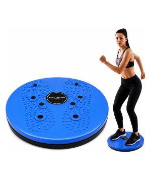 WAIST TWISTING DISC photo 1